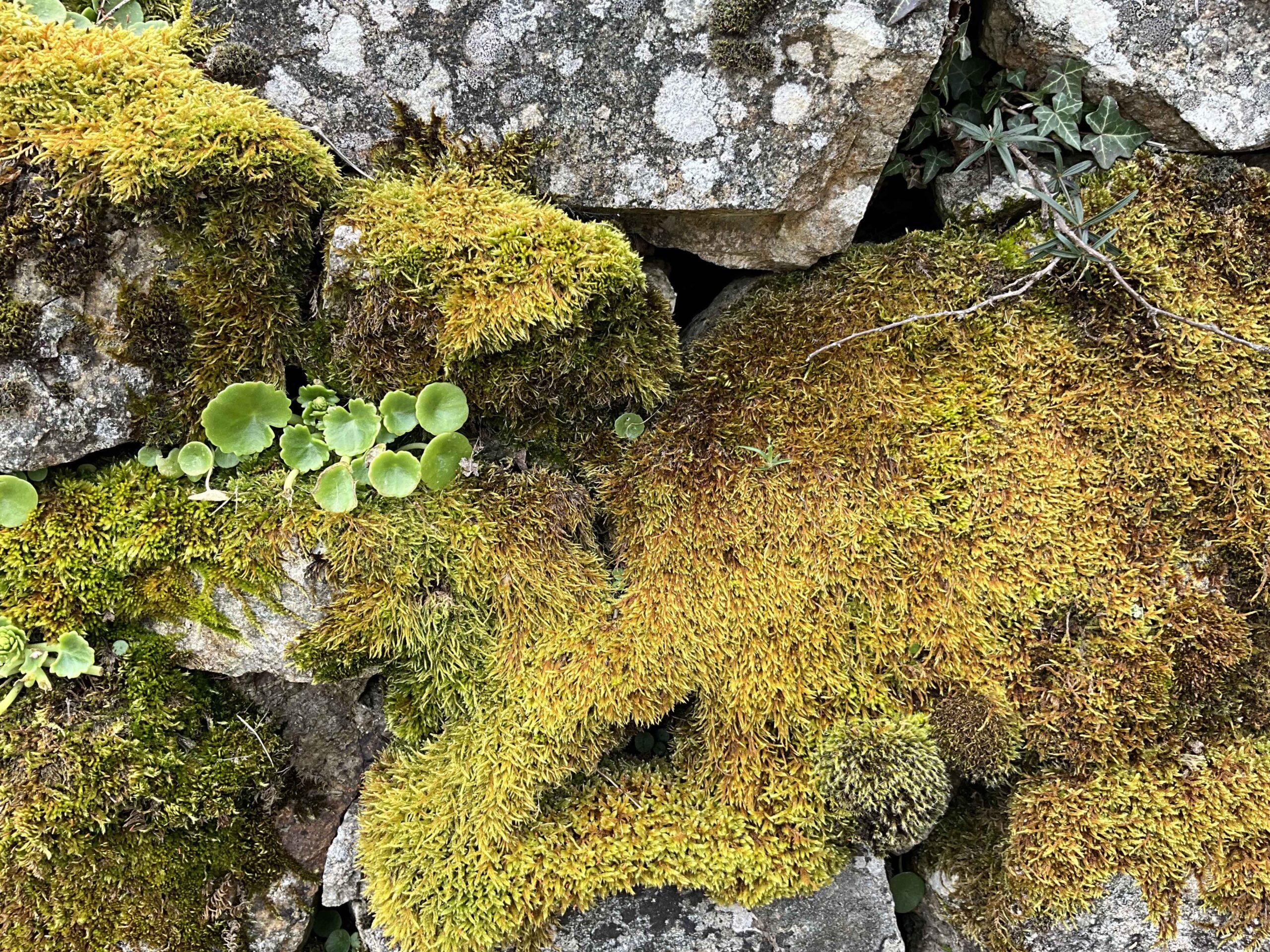 Se reconnecter avec la Nature